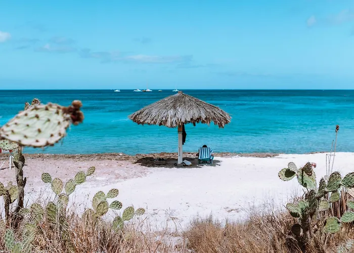 Aloe Getaway
